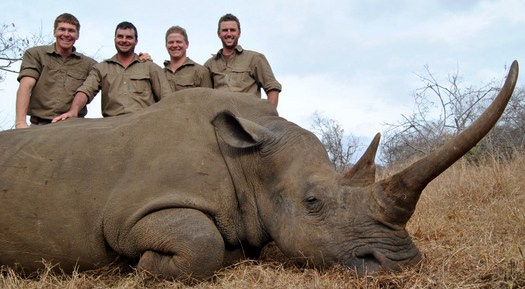 .550 Magnum & Rhino 550 Magnum & Rhino