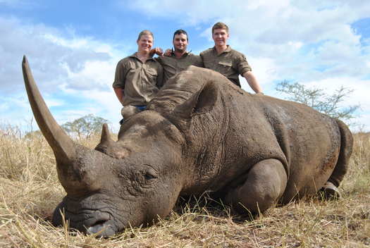 .550 Magnum & Rhino 550 Magnum & Rhino