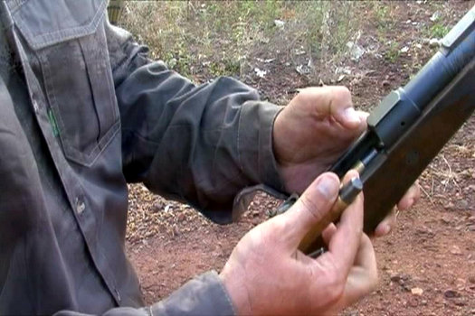 .550 Magnum & Rhino 550 Magnum & Rhino