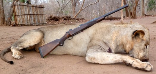 .550 Magnum & Lion 550 Magnum & Lion