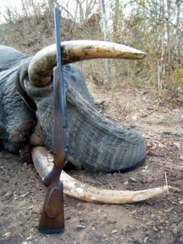 550 Magnum With Elephant