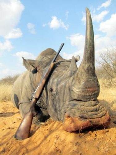 550 Magnum With Rhino