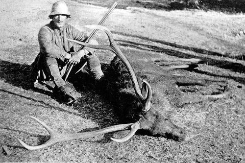 Major-General A E Wardrop with a sambar deer