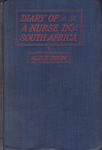 Diary Of A Nurse In South Africa