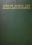 African Jungle Life
