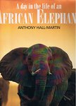 A Day In The Life Of An African Elephant