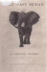 The Vast Sudan