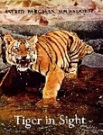 Tiger In Sight