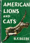 American Lions And Cats