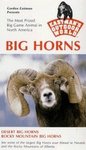 Big Horns
