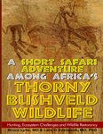 A Short Safari Adventure Among Africa's Thorny Bushveld Wildlife 2