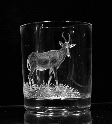 Crystal Glass Tumbler