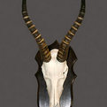 Blesbok Skull Mount