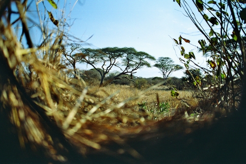 View From Leopard Blind