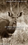 A Bushbuck Hunt In The East Cape