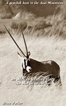 A Gemsbok Hunt In The Auas Mountains