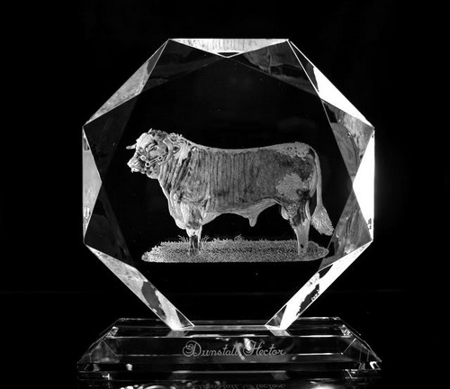Crystal Glass Bull Portrait