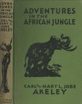 Adventures In The African Jungle