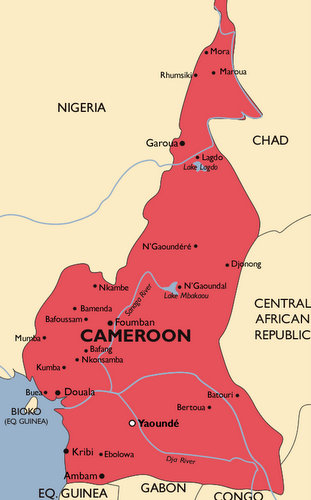 Cameroon Malaria Map