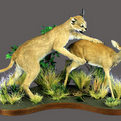 Caracal Full Mount