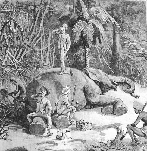 Elephant Hunting In Ceylon Elephant Hunting In Ceylon