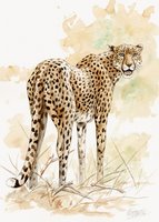 Cheetah Watercolor