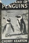 The Island Of Penguins