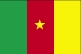 Cameroon Flag