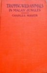 Trapping Wild Animals In Malay Jungles