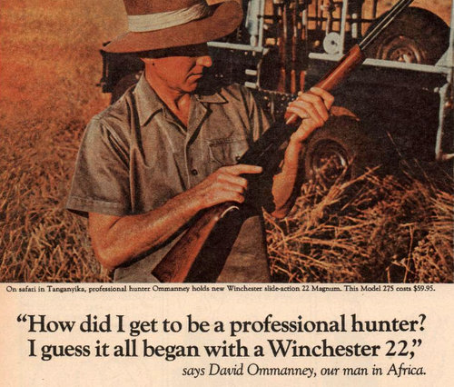 David Ommanney, Winchester's 'Man in Africa'