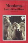 Montana Land Of Giant Rams