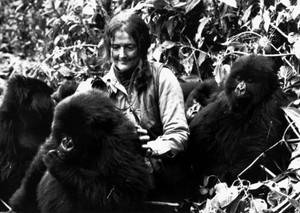 Dian Fossey Dian Fossey