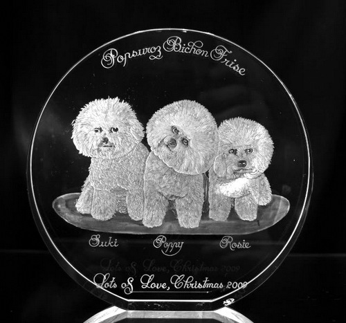 Optical Crystal Circle with a trio of Bichon Frise