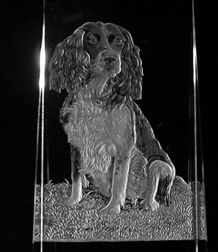 Crystal Book Spine with Spaniel Close Up