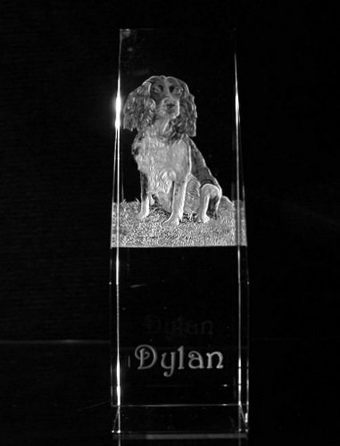 Crystal Book Spine with Spaniel