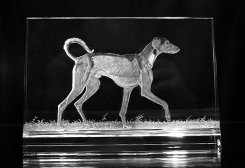 Crystal Glass Plaque with Dog