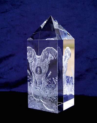 Optical Crystal Prism with German Pointer