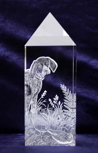 Optical Crystal Prism with German Pointer