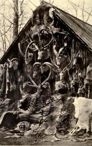 Donald Macintyre Trophies Donald Macintyre Trophies