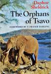 The Orphans Of Tsavo