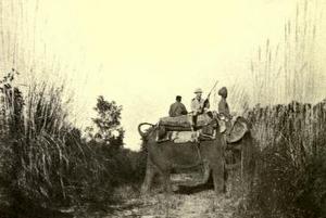 Edward Percy Stebbing