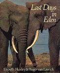 Last Days In Eden
