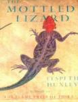 The Mottled Lizard