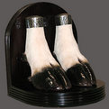 Eland Hooves Bookend