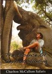The Essence Of Elephant Hunting