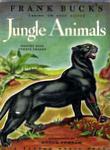Jungle Animals