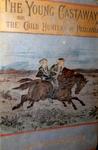 The Young Castaways: Or The Child Hunters Of Patagonia