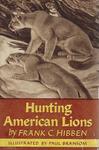 Hunting American Lions