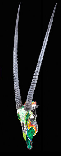 Gemsbok Painted Skull