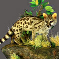 Genet Full Mount